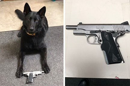 pittsburg police k9 robbery suspect armed nab assist