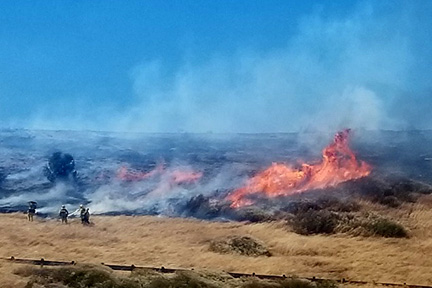 Concord: Firefighters Battle 25-Acre Fire on Willow Pass Road