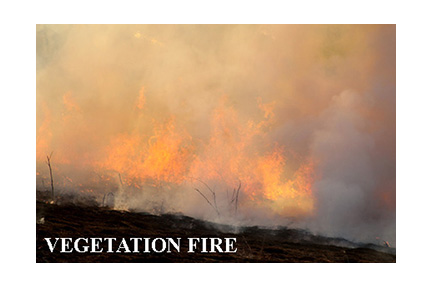 Byron: Firefighters Battle 146-Acre Vegetation Fire on Bruns Road