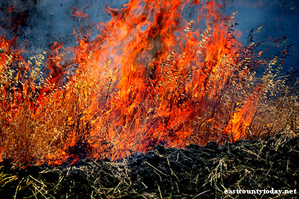 Firefighters Battling Half-Acre Vegetation Fire in Oakley