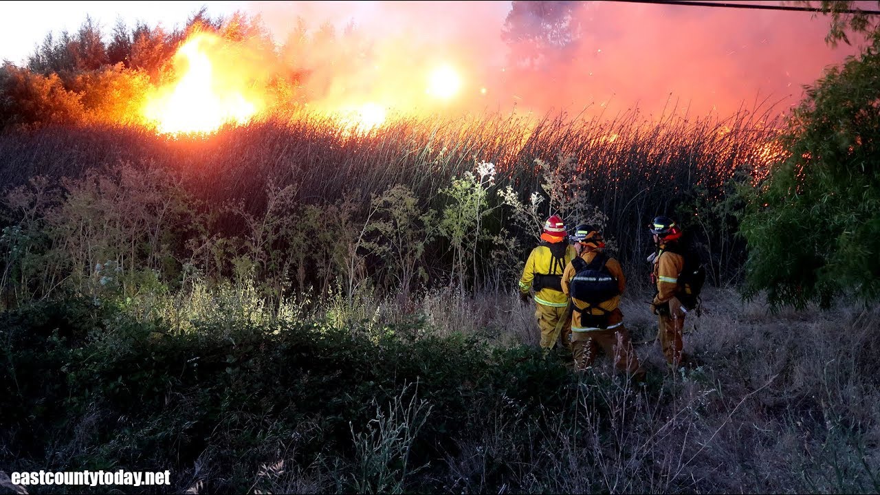 Bethel Island: Firefighters Battle 3-Acre Vegetation Fire