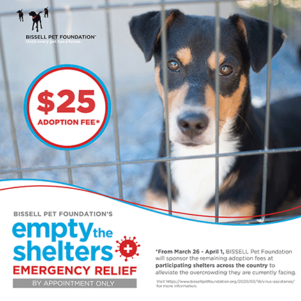 bissell foundation pet shelters adoption appointment fees assists reduced ect mar pm written