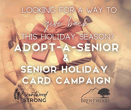 Brentwood’s Adopt-A-Senior and Holiday Card Campaign 2022